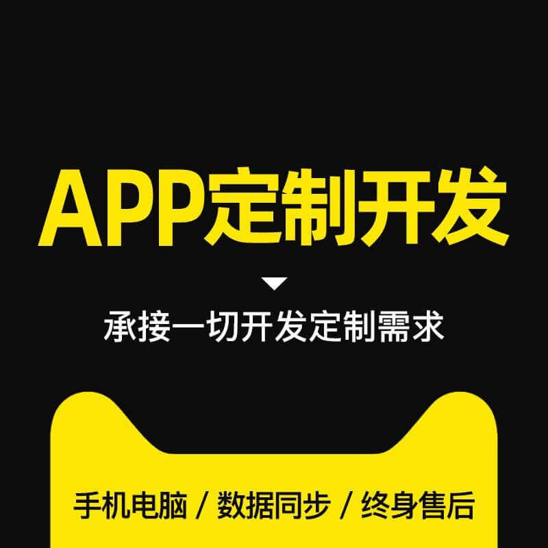 广州app外包公司