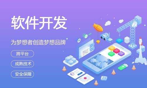 广州软件网站开发